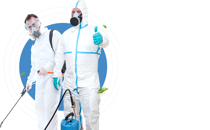 Противоклещевая обработка