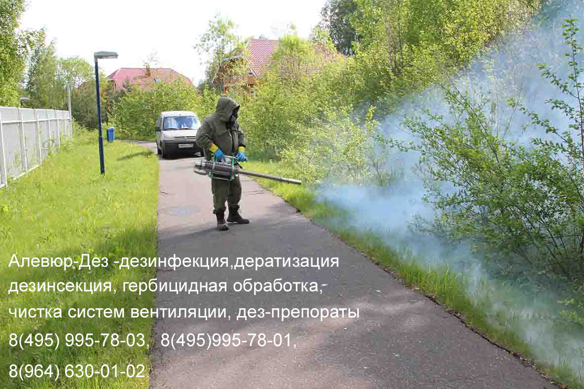 Центр дезинфекции-Дез (Обработка туманообразователем)