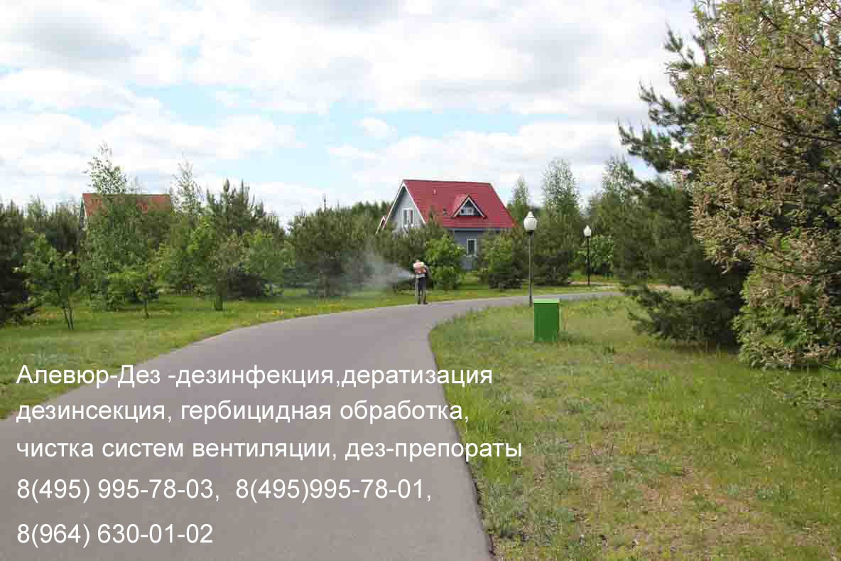 Центр дезинфекции-Дез (Обработка туманообразователем)