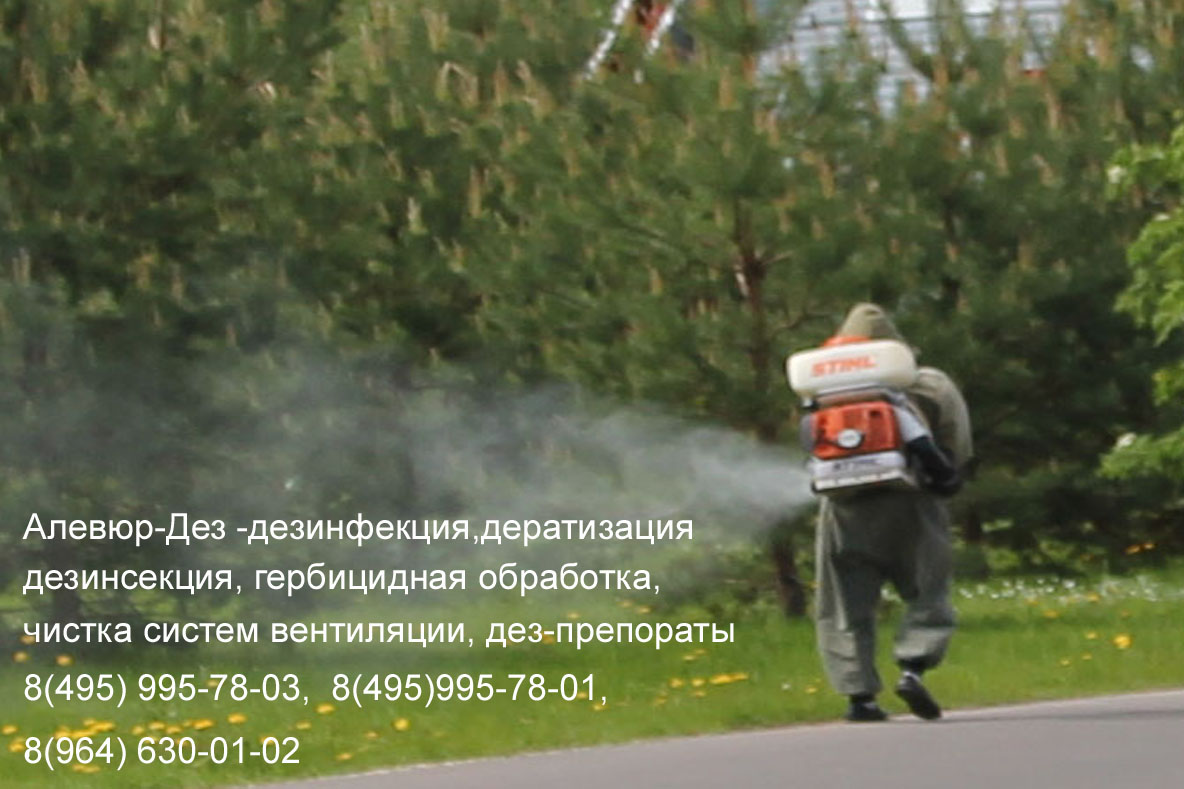 Центр дезинфекции-Дез (Обработка туманообразователем)