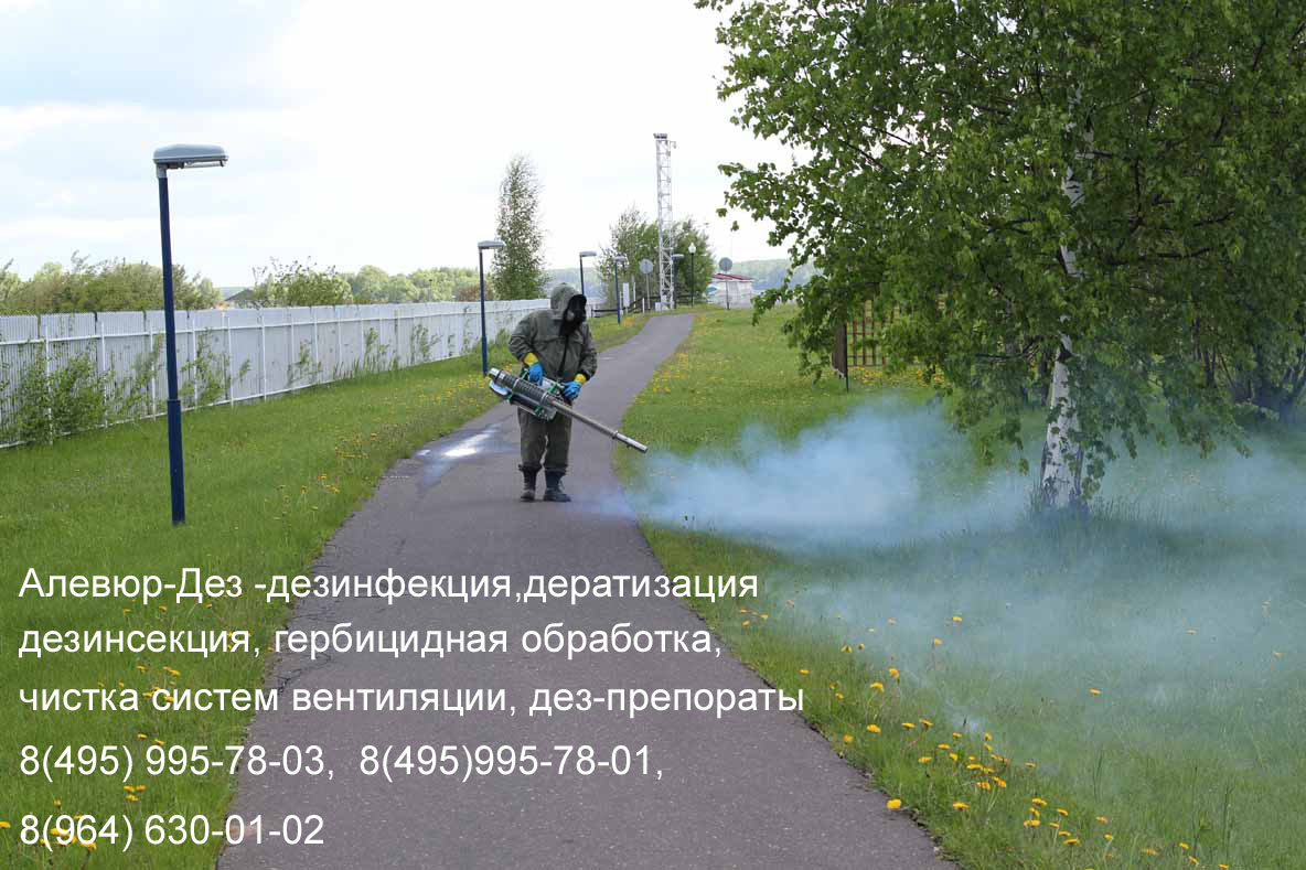 Центр дезинфекции-Дез (Обработка туманообразователем)