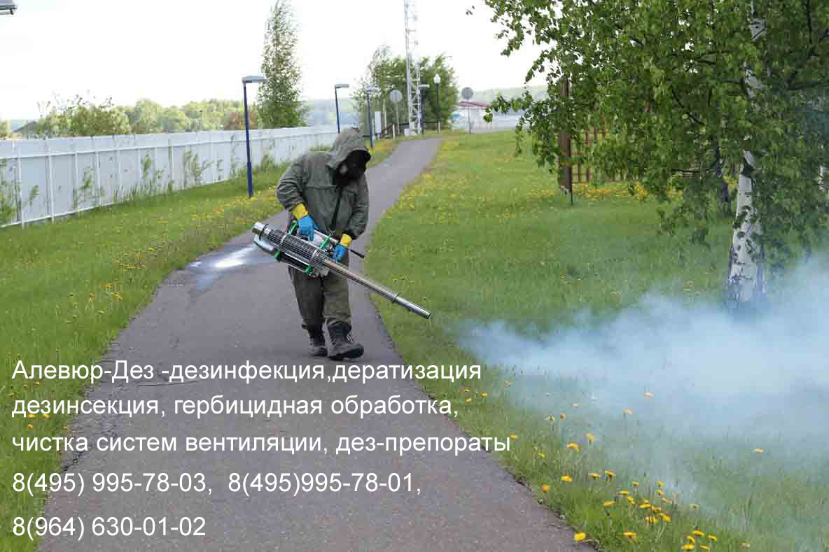 Центр дезинфекции-Дез (Обработка туманообразователем)