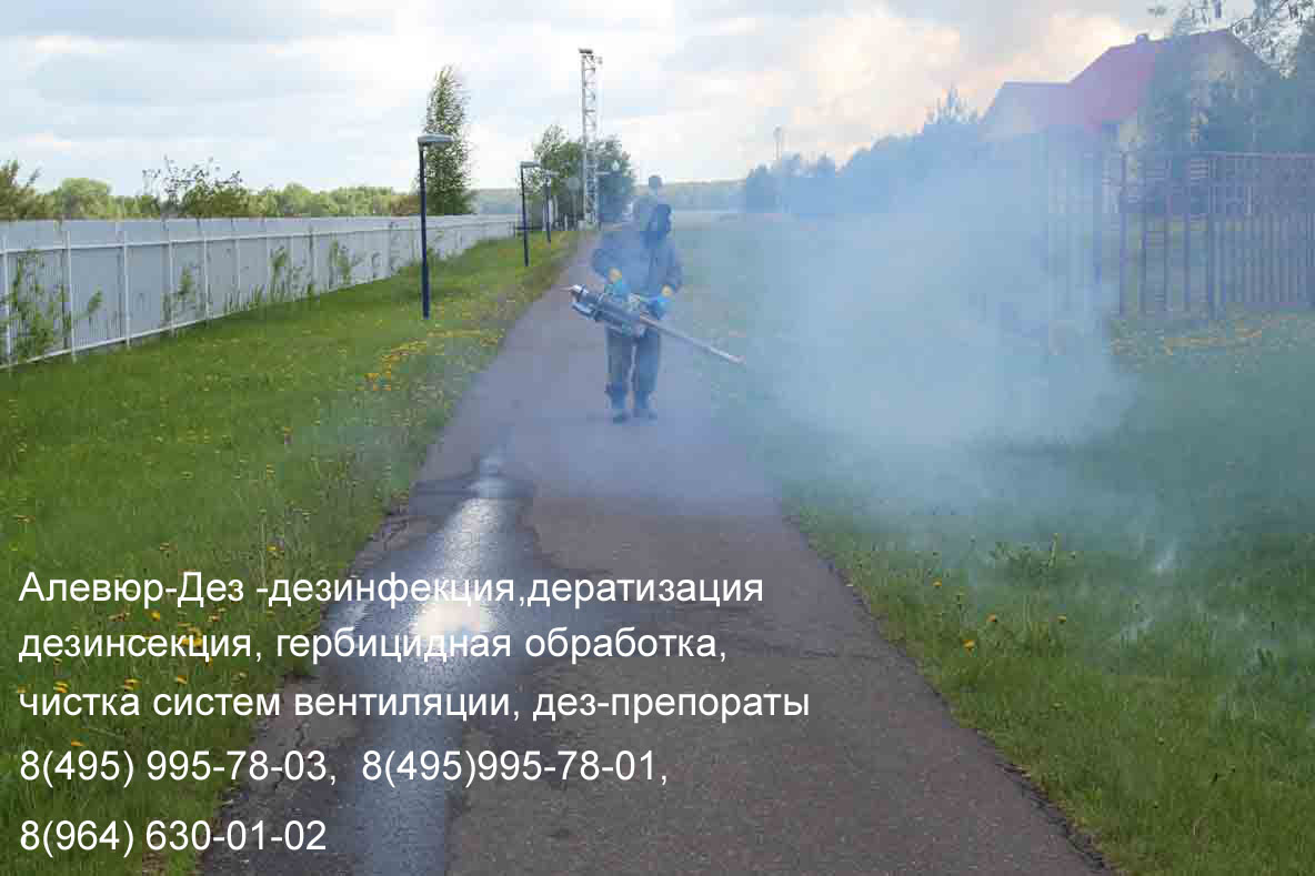 Центр дезинфекции-Дез (Обработка туманообразователем)