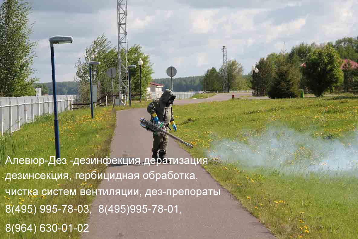 Центр дезинфекции-Дез (Обработка туманообразователем)