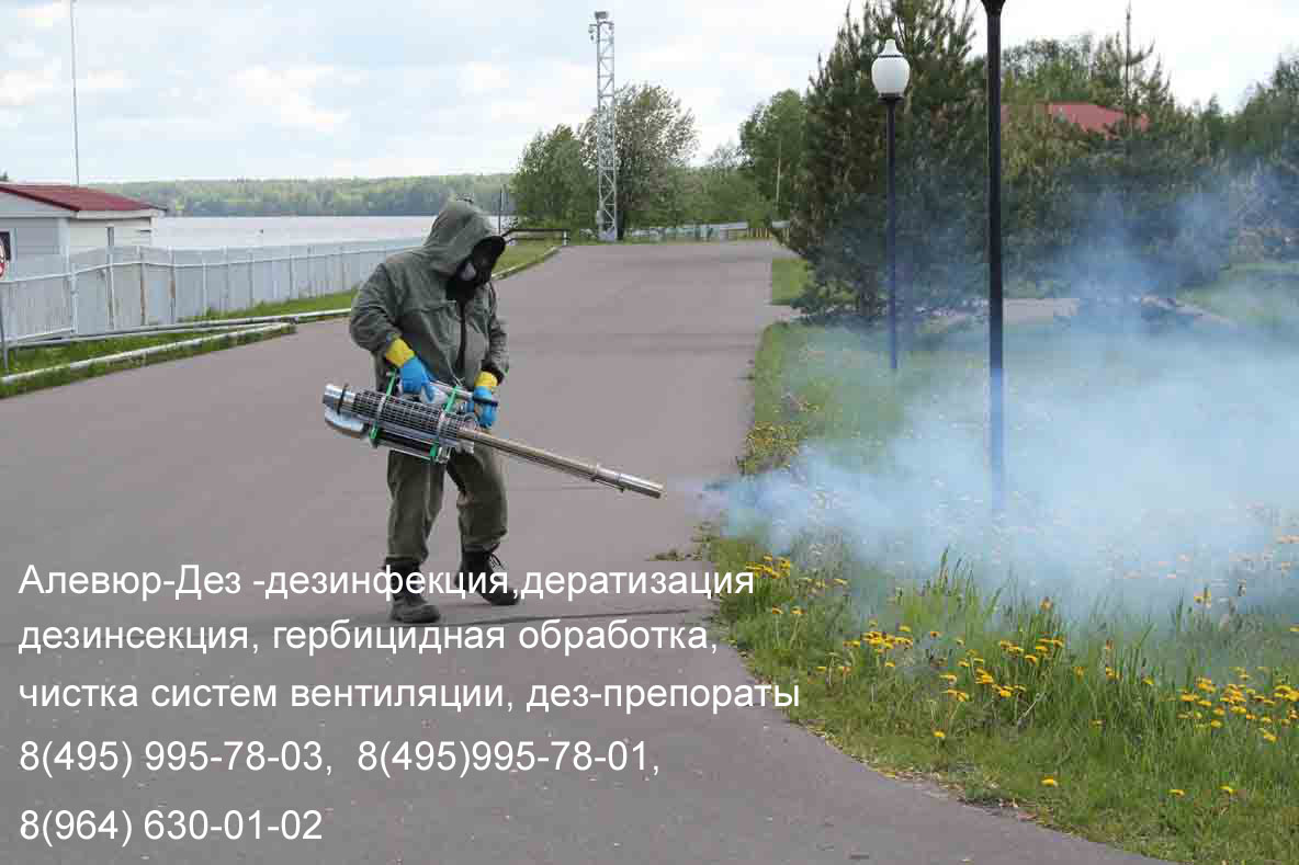 Центр дезинфекции-Дез (Обработка туманообразователем)